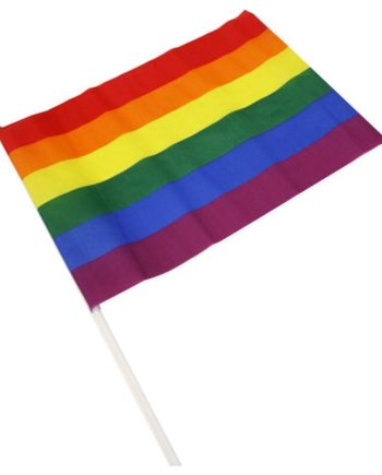 Banderin Grande Colores Bandera LGBT+
