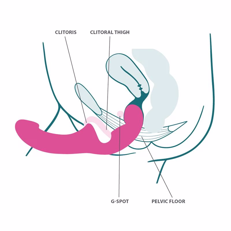 Share Lite Dildo Doble Blackberry